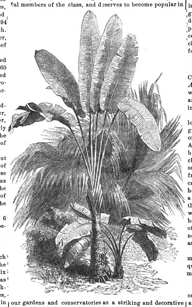 An illustration from Scientific American, Vol. 32, No. 26 (June 1875), 1875, leaf 0