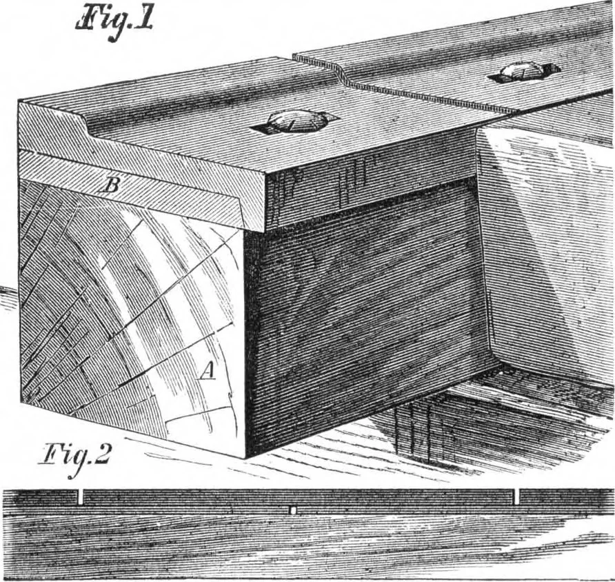 An illustration from Scientific American, Vol. 33, No. 2 (July 1875), 1875, leaf 4
