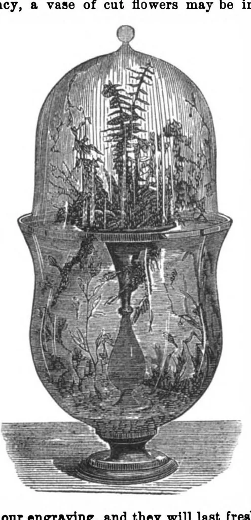 An illustration from Scientific American, Vol. 33, No. 7 (August 1875), 1875, leaf 8
