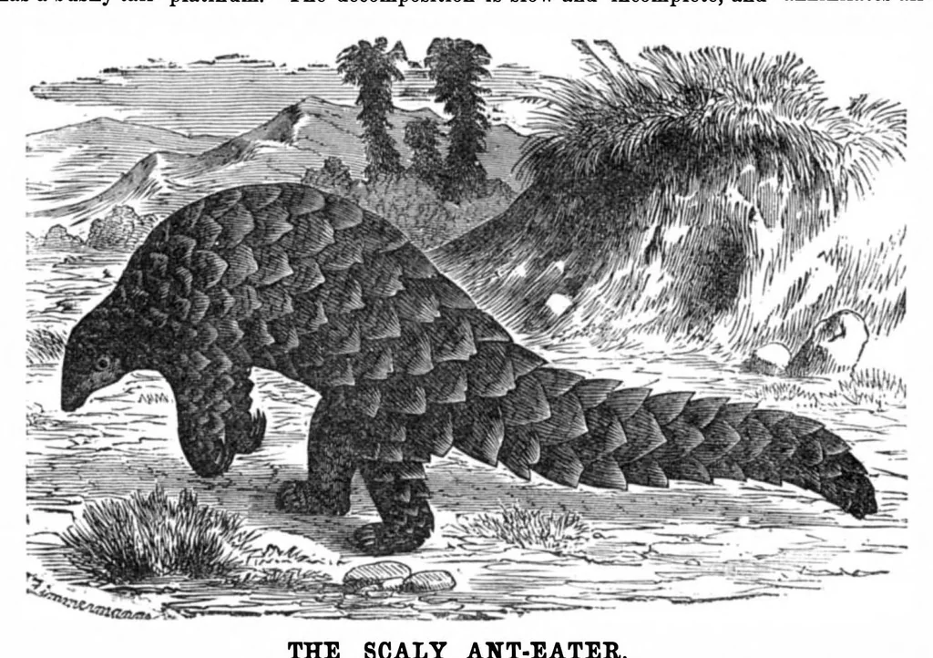 An illustration from Scientific American, Vol. 33, No. 9 (August 1875), 1875, leaf 8