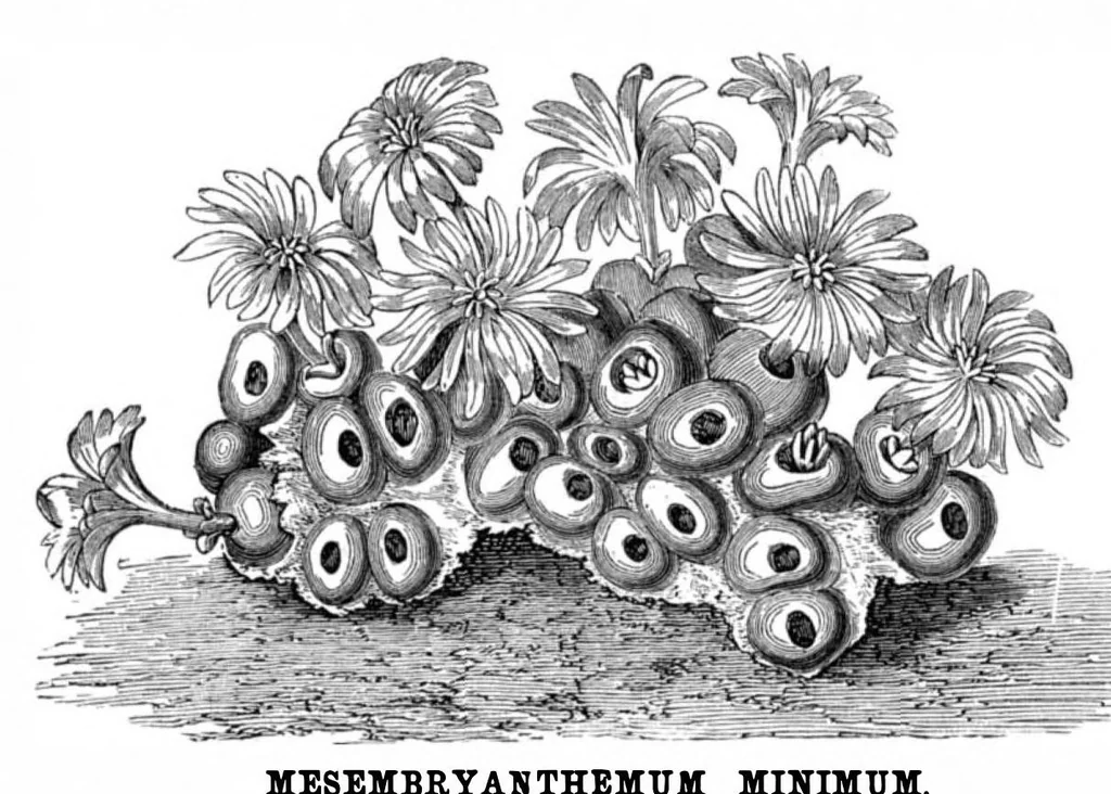 An illustration from Scientific American, Vol. 33, No. 11 (September 1875), 1875, leaf 8