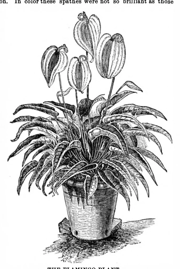 An illustration from Scientific American, Vol. 33, No. 16 (October 1875), 1875, leaf 8