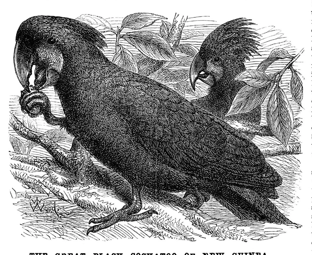 An illustration from Scientific American, Vol. 33, No. 19 (November 1875), 1875, leaf 8