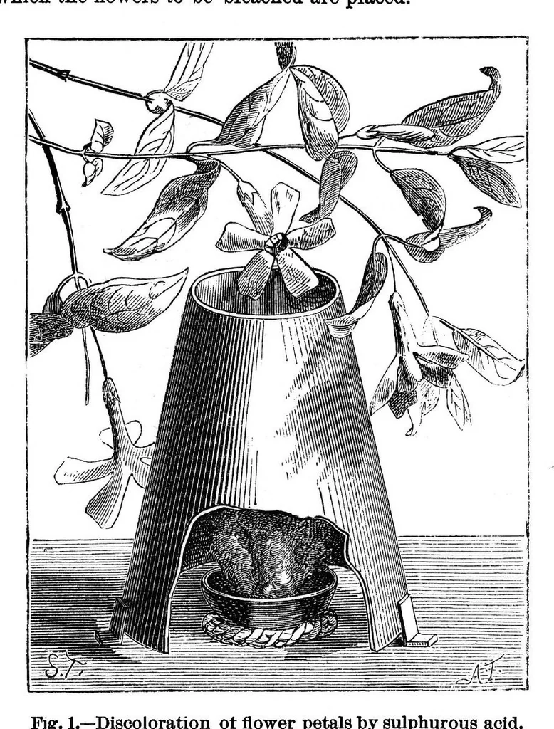 An illustration from Scientific American, Vol. 33, No. 20 (November 1875), 1875, leaf 8