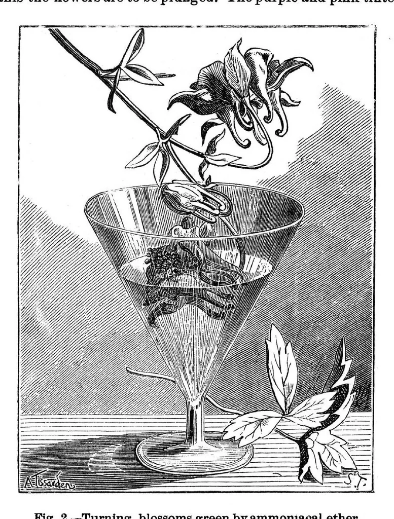 An illustration from Scientific American, Vol. 33, No. 20 (November 1875), 1875, leaf 8