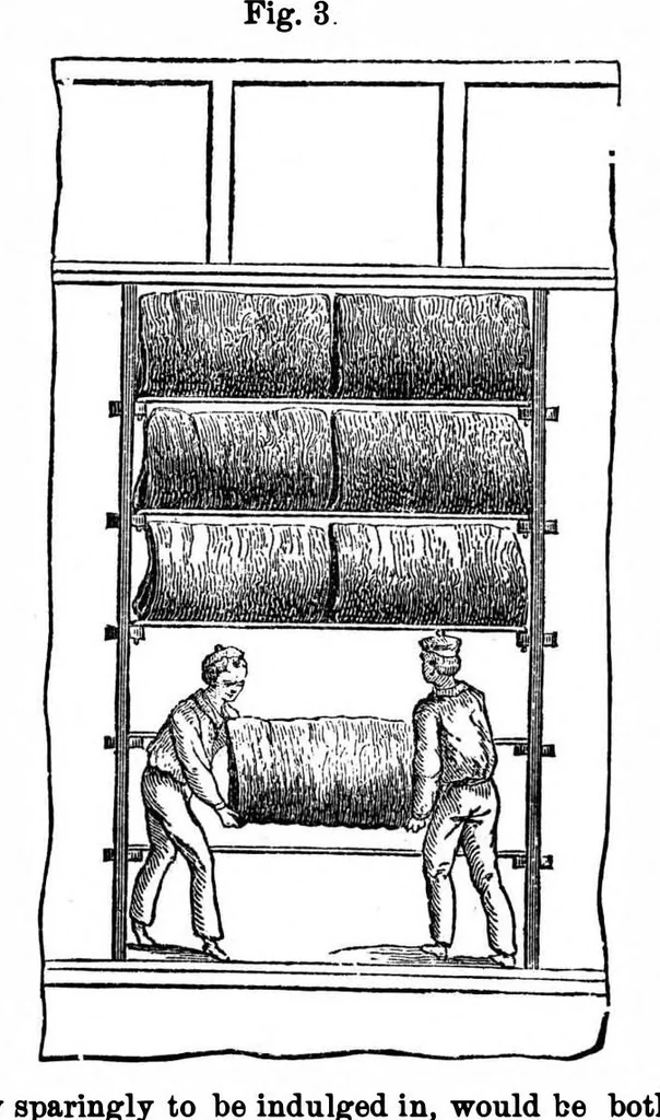 An illustration from Scientific American, Vol. 33, No. 21 (November 1875), 1875, leaf 3