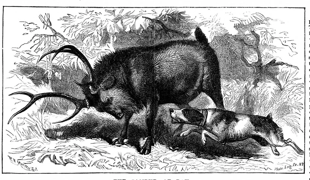 An illustration from Scientific American, Vol. 33, No. 22 (November 1875), 1875, leaf 8