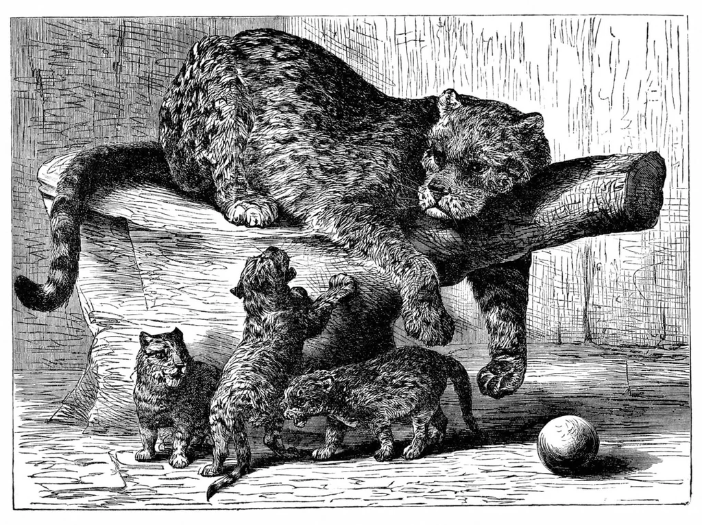 An illustration from Scientific American, Vol. 34, No. 3 (January 1876), 1876, leaf 8