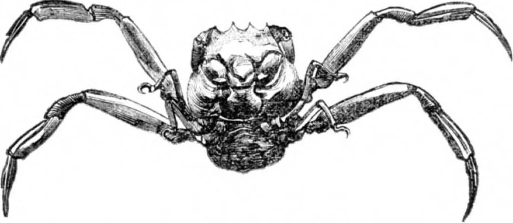 An illustration from Scientific American, Vol. 34, No. 6 (January 1876), 1876, leaf 5