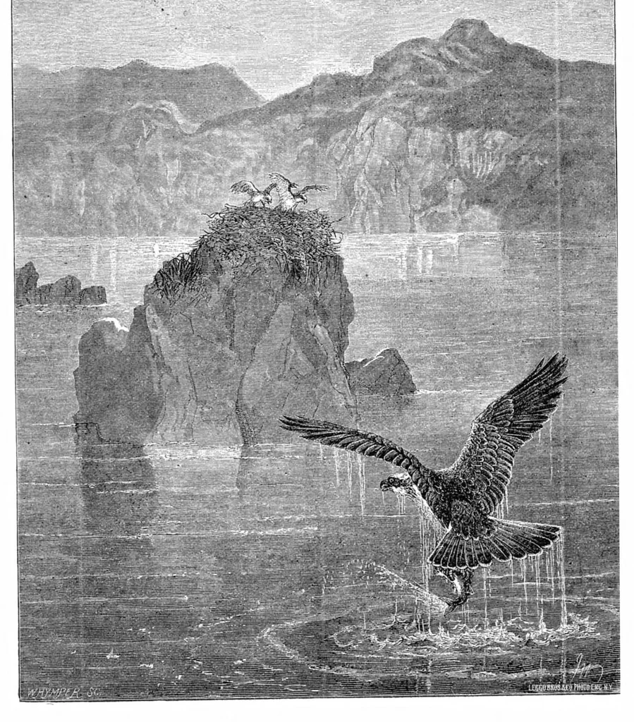 An illustration from Scientific American, Vol. 34, No. 7 (February 1876), 1876, leaf 8