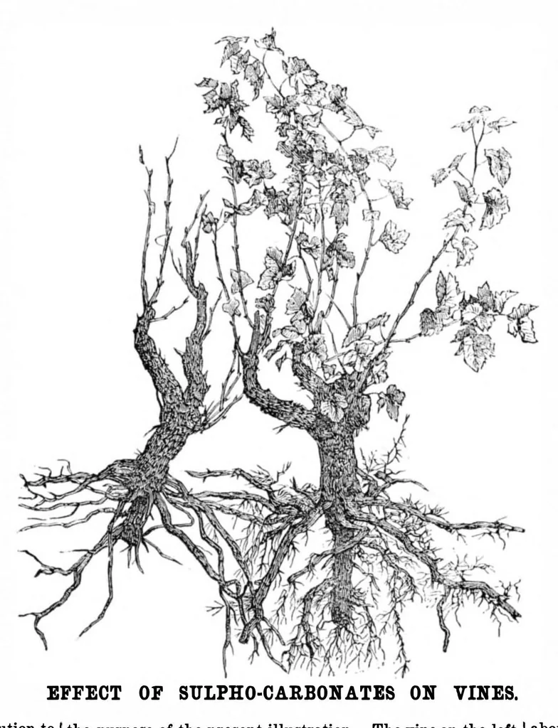 An illustration from Scientific American, Vol. 34, No. 9 (February 1876), 1876, leaf 8