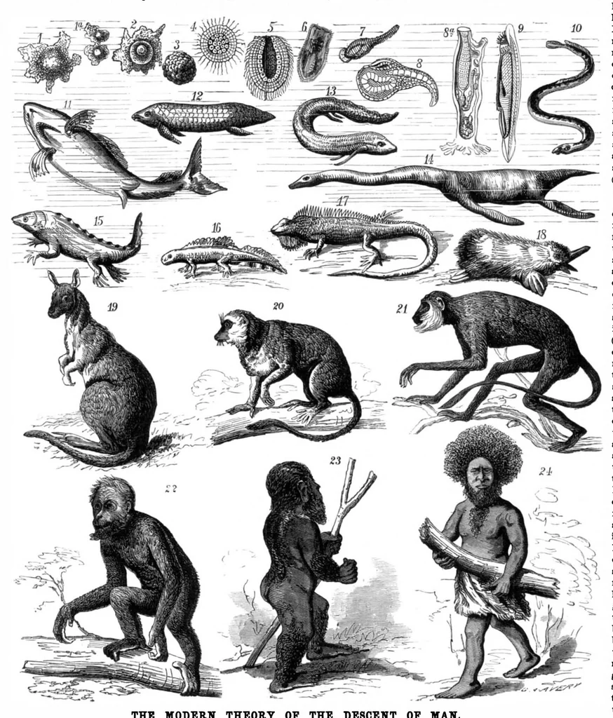 An illustration from Scientific American, Vol. 34, No. 11 (March 1876), 1876, leaf 8