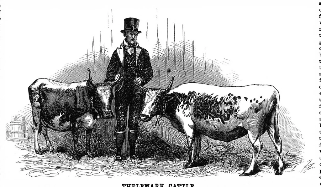 An illustration from Scientific American, Vol. 34, No. 15 (April 1876), 1876, leaf 4
