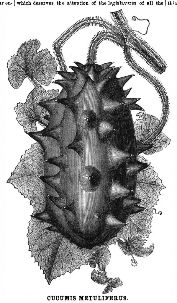 An illustration from Scientific American, Vol. 34, No. 16 (April 1876), 1876, leaf 8