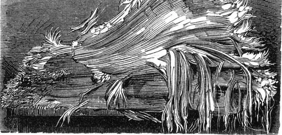 An illustration from Scientific American, Vol. 34, No. 17 (April 1876), 1876, leaf 3