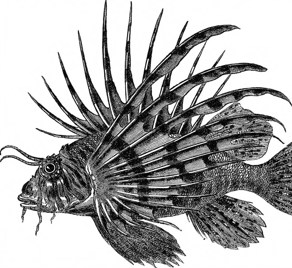 An illustration from Scientific American, Vol. 34, No. 17 (April 1876), 1876, leaf 8