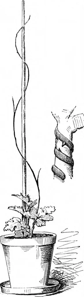 An illustration from Scientific American, Vol. 34, No. 17 (April 1876), 1876, leaf 9
