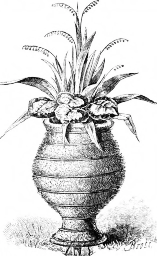 An illustration from Scientific American, Vol. 34, No. 20 (May 1876), 1876, leaf 3