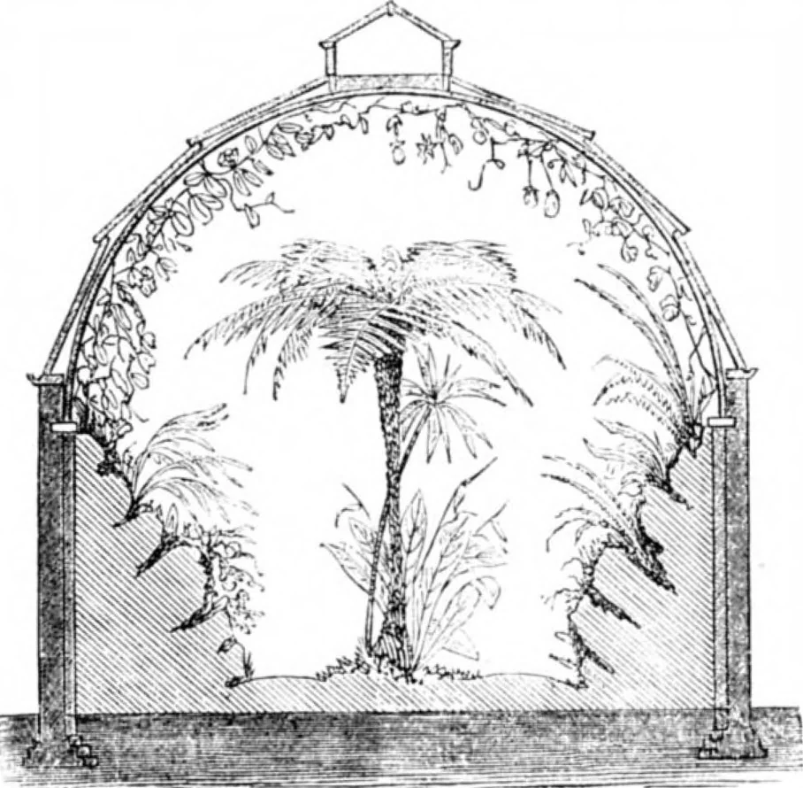 An illustration from Scientific American, Vol. 34, No. 20 (May 1876), 1876, leaf 8