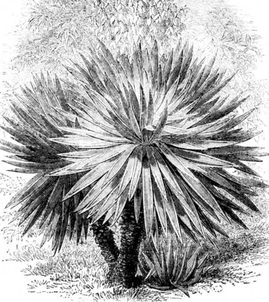An illustration from Scientific American, Vol. 34, No. 20 (May 1876), 1876, leaf 8