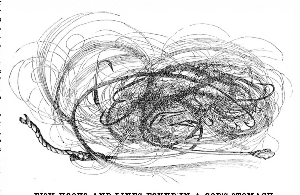 An illustration from Scientific American, Vol. 34, No. 26 (June 1876), 1876, leaf 8