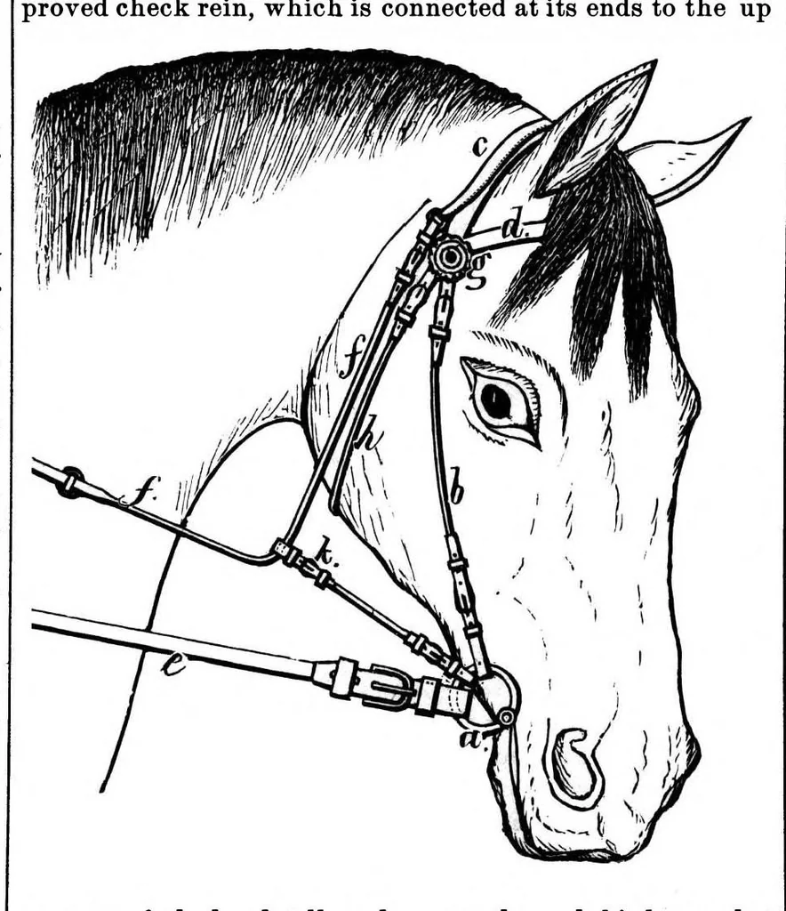 An illustration from Scientific American, Vol. 35, No. 6 (August 1876), 1876, leaf 7