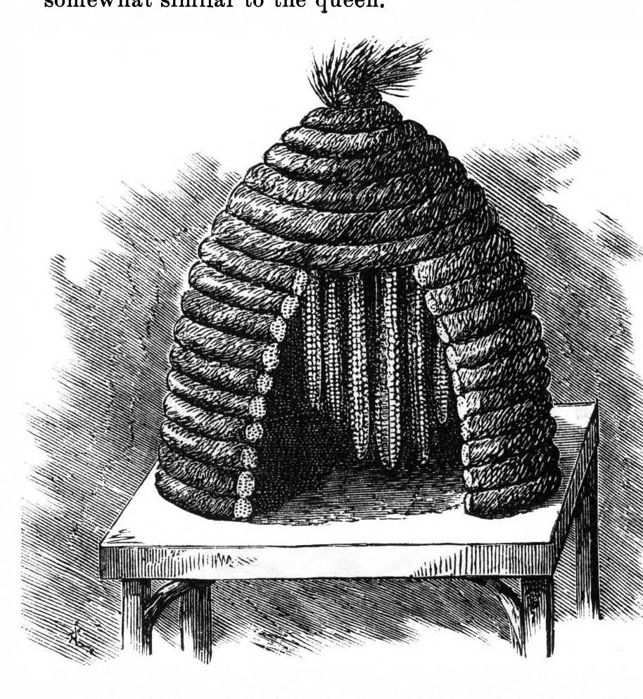 An illustration from Scientific American, Vol. 35, No. 7 (August 1876), 1876, leaf 8