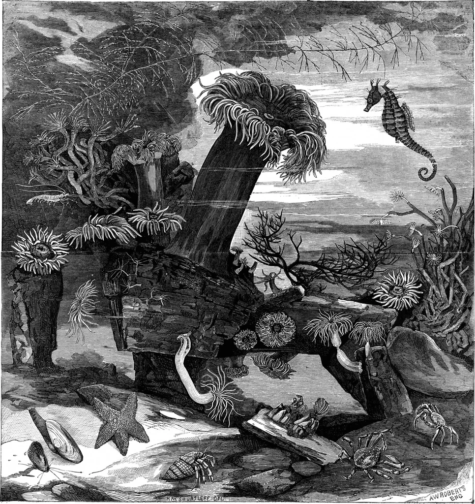 An illustration from Scientific American, Vol. 35, No. 9 (August 1876), 1876, leaf 8