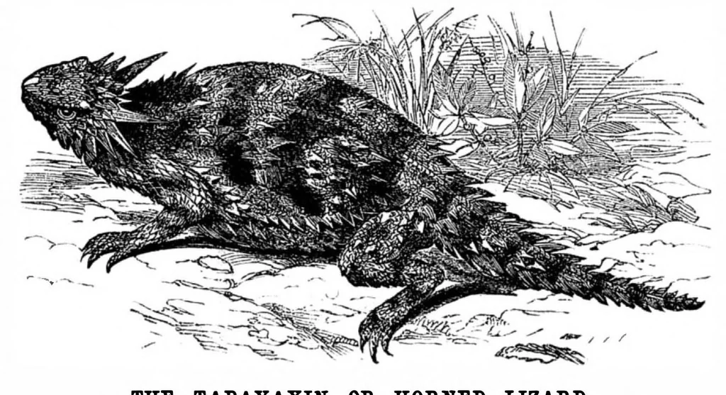 An illustration from Scientific American, Vol. 35, No. 10 (September 1876), 1876, leaf 10