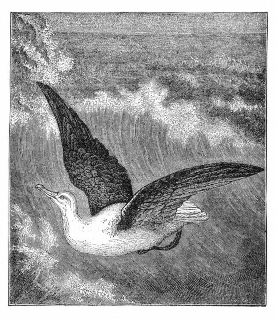 An illustration from Scientific American, Vol. 35, No. 10 (September 1876), 1876, leaf 8