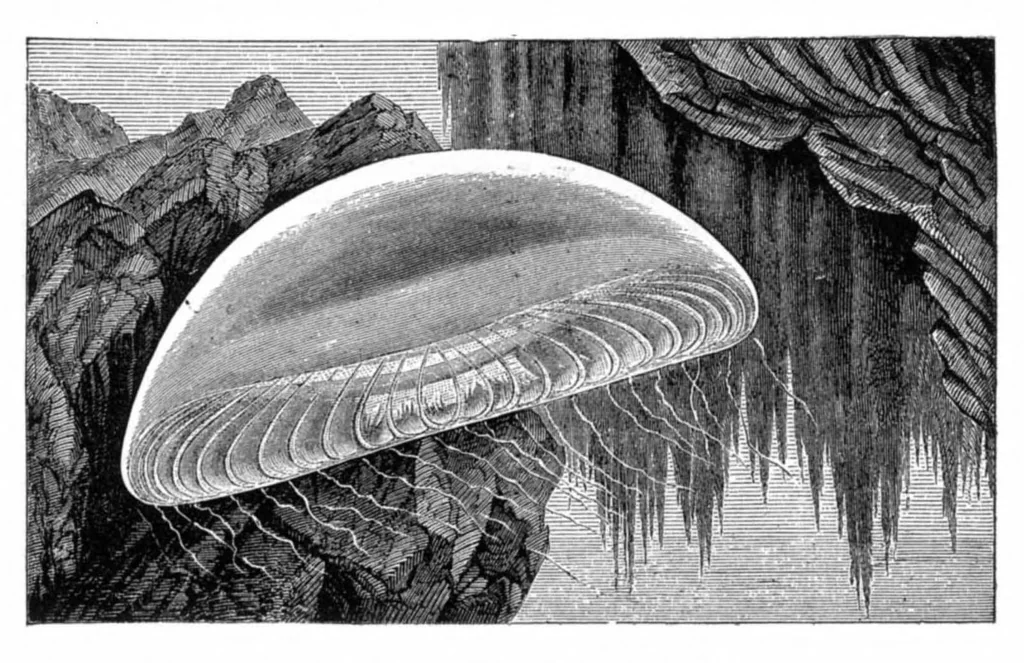 An illustration from Scientific American, Vol. 35, No. 11 (September 1876), 1876, leaf 8