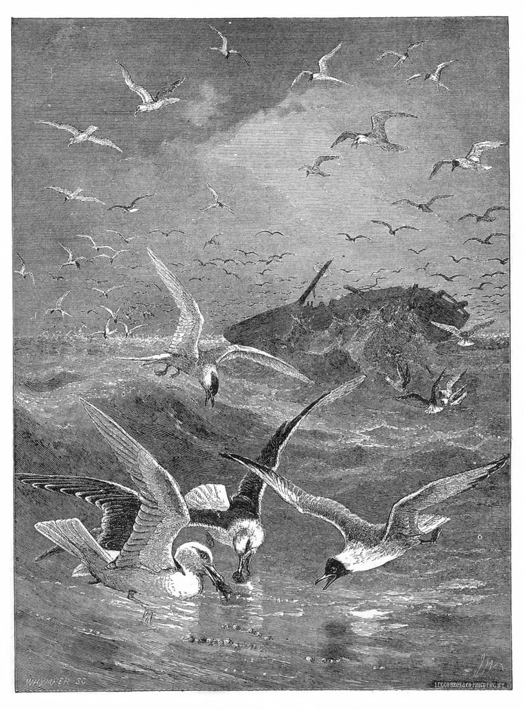 An illustration from Scientific American, Vol. 35, No. 16 (October 1876), 1876, leaf 8
