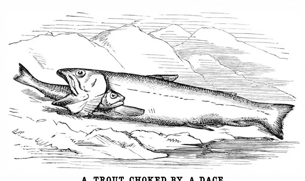 An illustration from Scientific American, Vol. 35, No. 17 (October 1876), 1876, leaf 4