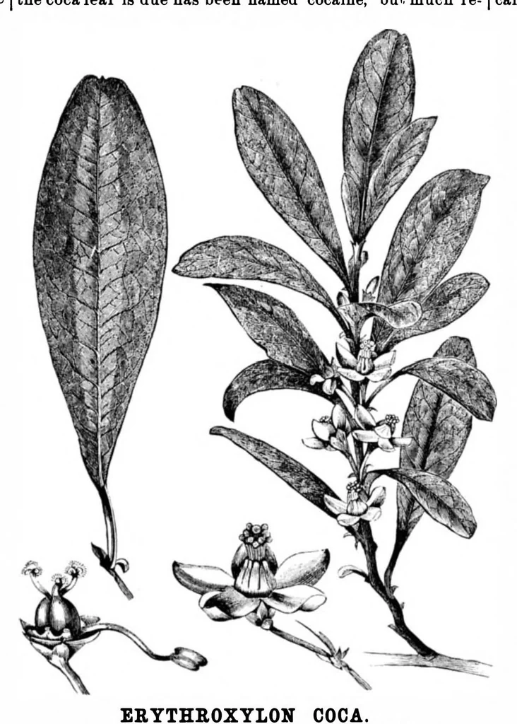 An illustration from Scientific American, Vol. 35, No. 18 (October 1876), 1876, leaf 8
