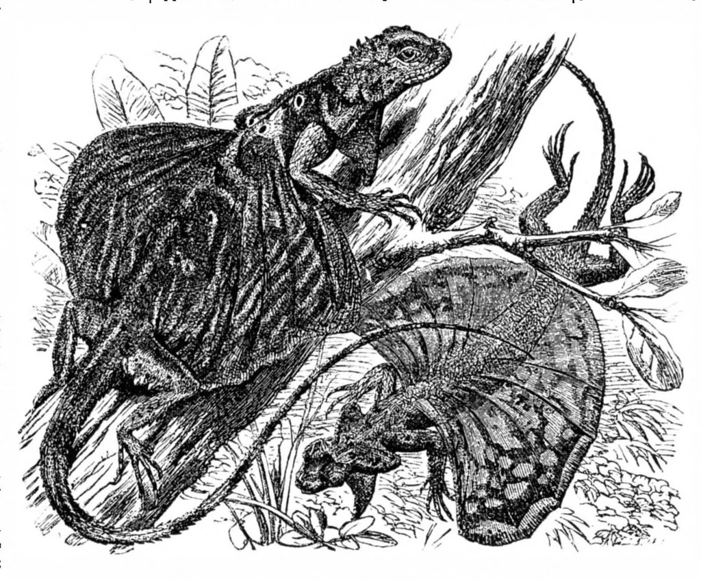 An illustration from Scientific American, Vol. 35, No. 20 (November 1876), 1876, leaf 8