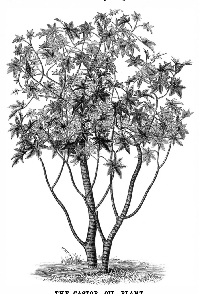 An illustration from Scientific American, Vol. 35, No. 22 (November 1876), 1876, leaf 8