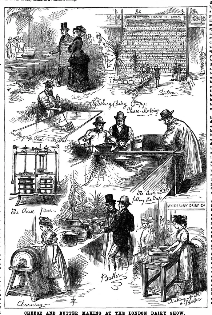 An illustration from Scientific American, Vol. 35, No. 26 (December 1876), 1876, leaf 4