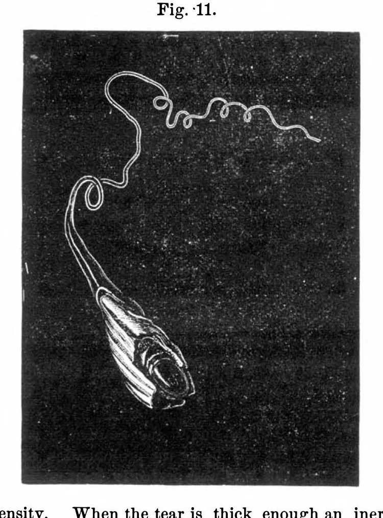 An illustration from Scientific American, Vol. 36, No. 2 (January 1877), 1877, leaf 3