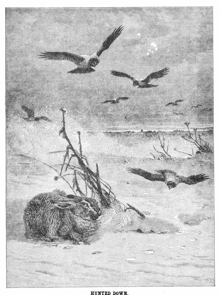 An illustration from Scientific American, Vol. 36, No. 2 (January 1877), 1877, leaf 8
