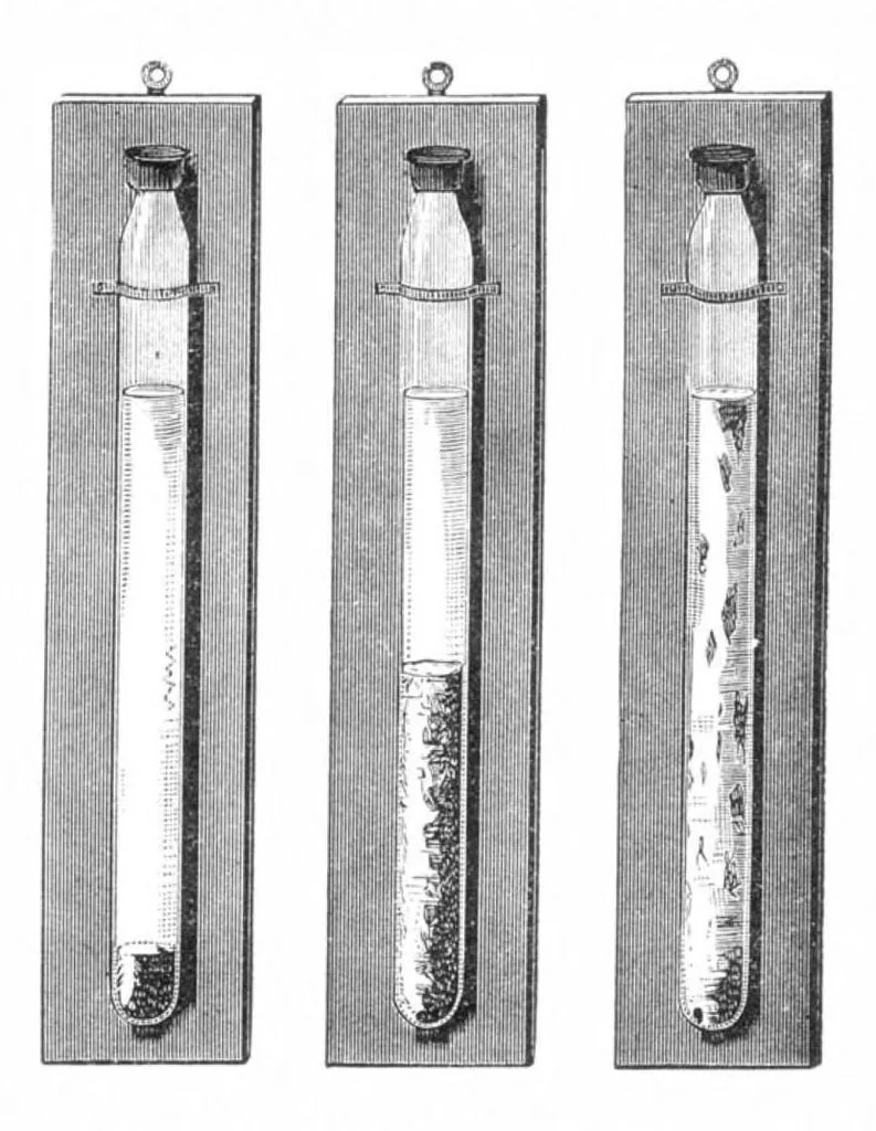 An illustration from Scientific American, Vol. 36, No. 3 (January 1877), 1877, leaf 7