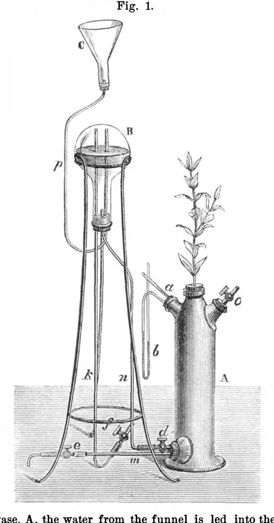 An illustration from Scientific American, Vol. 36, No. 5 (February 1877), 1877, leaf 7