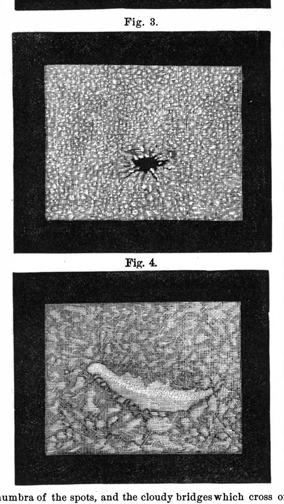 An illustration from Scientific American, Vol. 36, No. 7 (February 1877), 1877, leaf 3