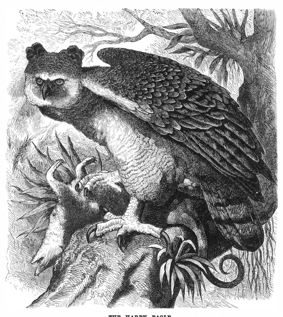 An illustration from Scientific American, Vol. 36, No. 9 (March 1877), 1877, leaf 8