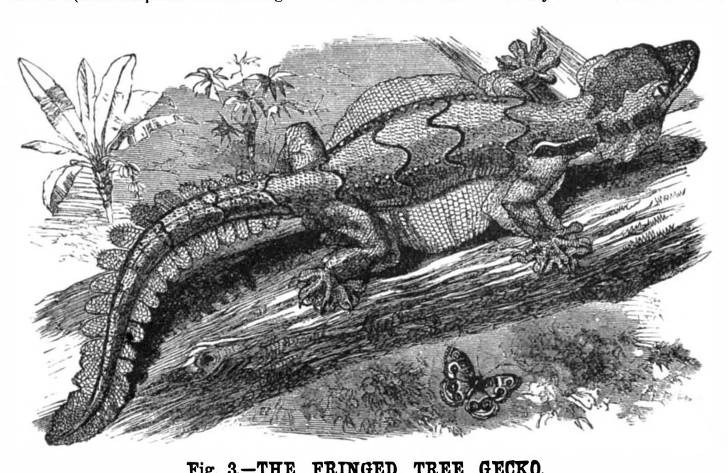 An illustration from Scientific American, Vol. 36, No. 14 (April 1877), 1877, leaf 8