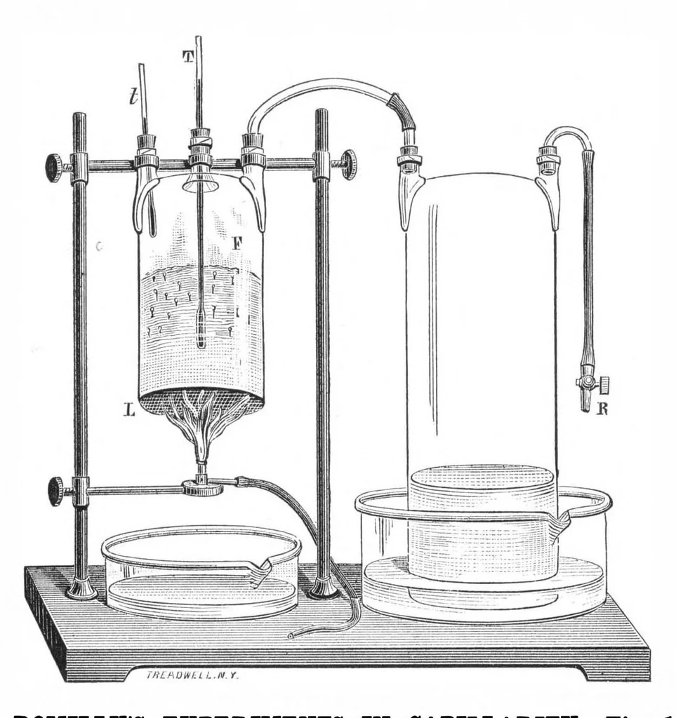 An illustration from Scientific American, Vol. 36, No. 20 (May 1877), 1877, leaf 3