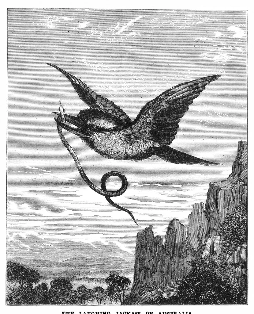 An illustration from Scientific American, Vol. 36, No. 20 (May 1877), 1877, leaf 8