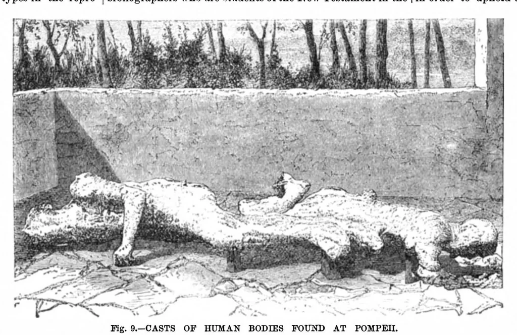 An illustration from Scientific American, Vol. 36, No. 21 (May 1877), 1877, leaf 9