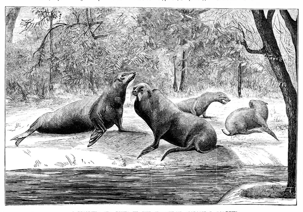 An illustration from Scientific American, Vol. 36, No. 22 (June 1877), 1877, leaf 8