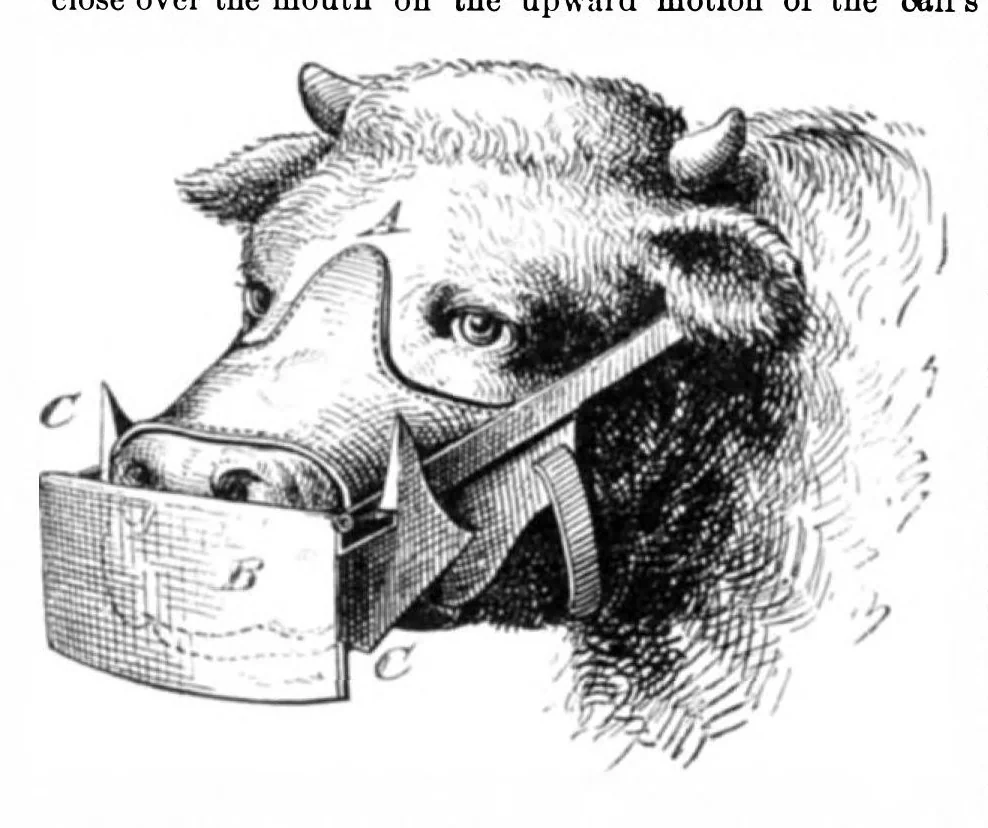 An illustration from Scientific American, Vol. 36, No. 25 (June 1877), 1877, leaf 3