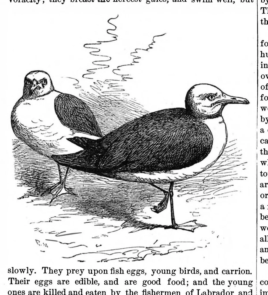 An illustration from Scientific American, Vol. 37, No. 1 (July 1877), 1877, leaf 7